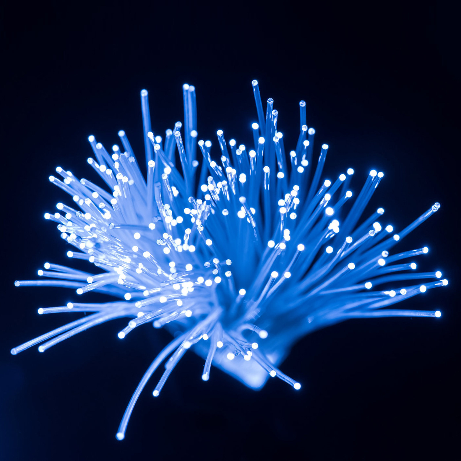 Fibra Óptica de 100 Metros par - Decor Lighting Fixtures reseña y precio
